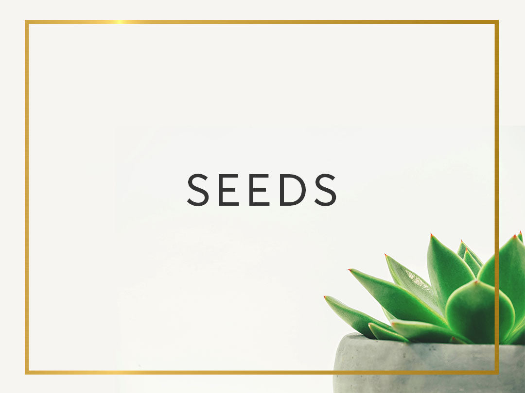 Seeds