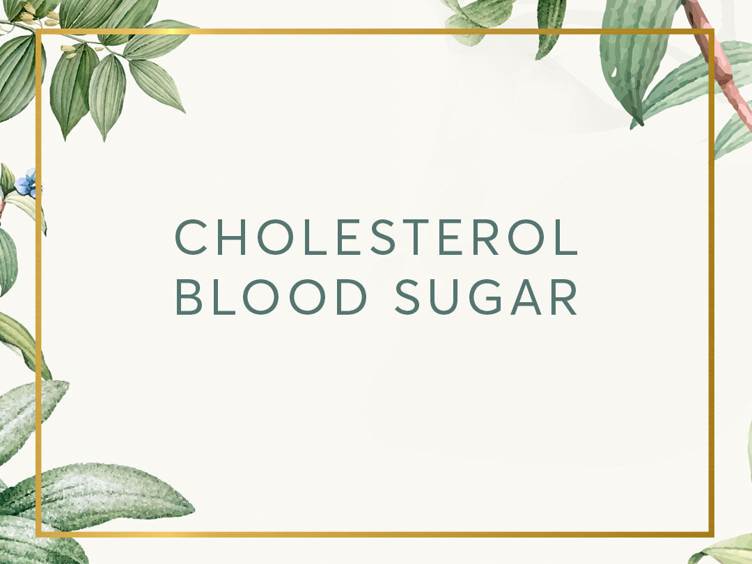 Cholesterol / Blood Sugar