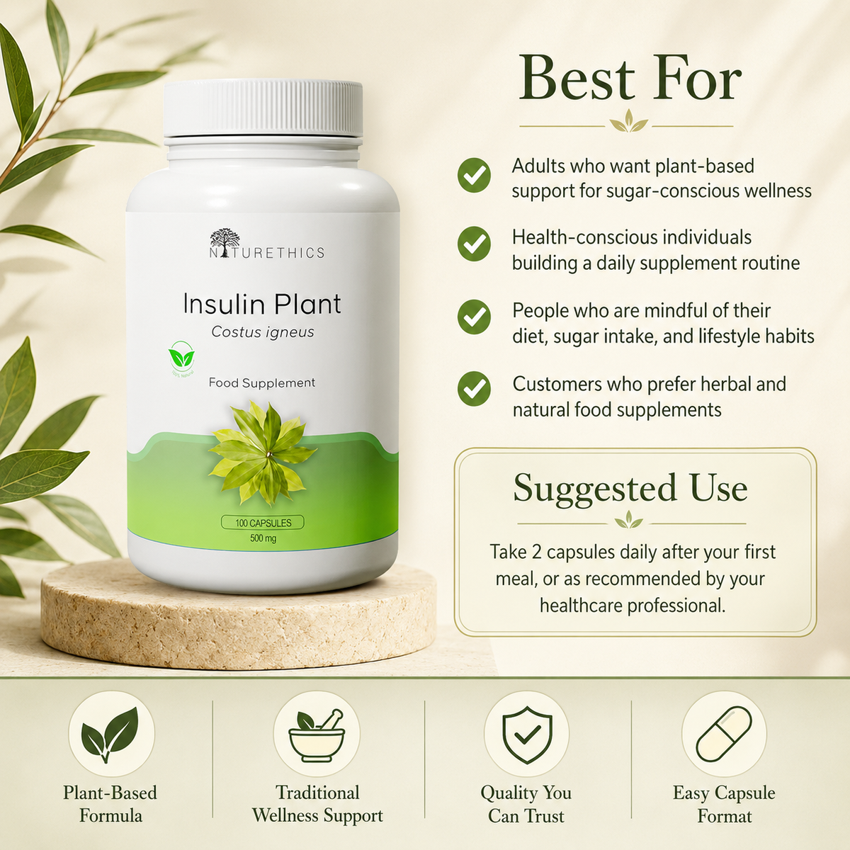 Insulin Plant Capsules 100s