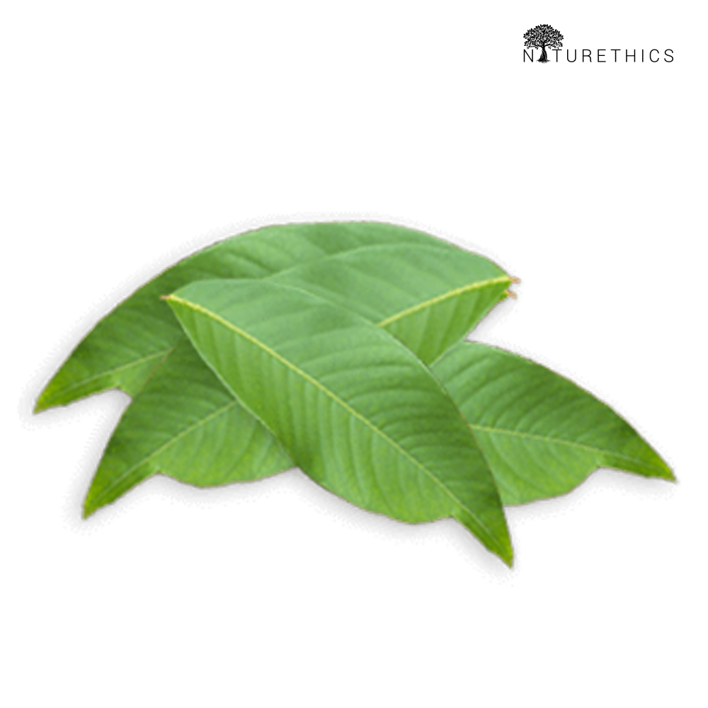 Banaba Capsules 100s