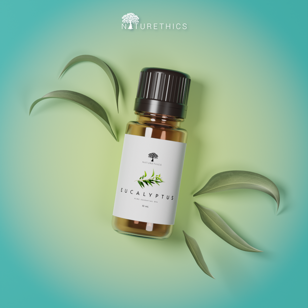 Eucalyptus Essential Oil 10ml