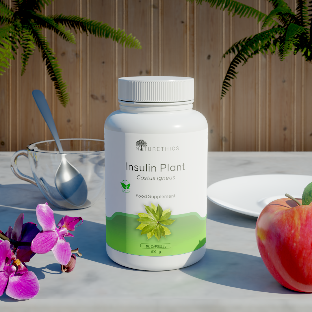 buy insulin plant seeds Insulin Plant Capsules 100s – Naturethics