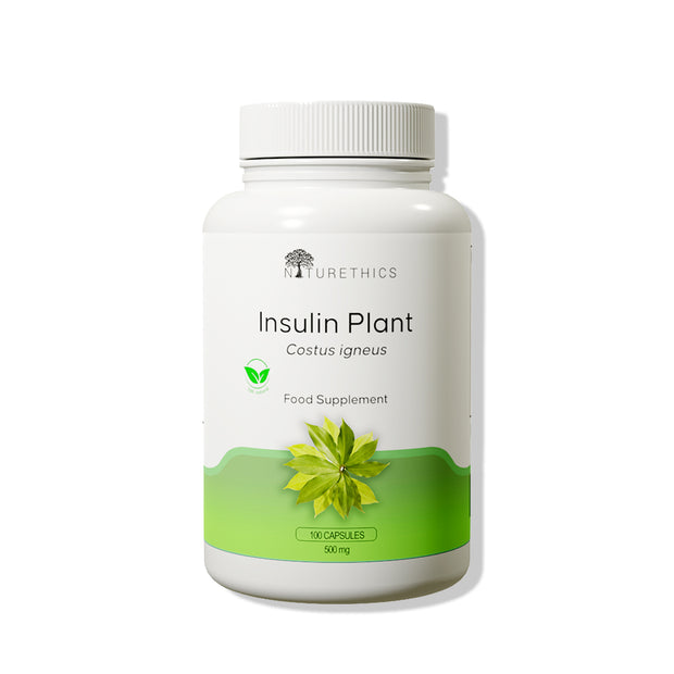 Insulin Plant Capsules 100s