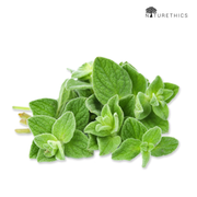 Oregano Capsules 100s