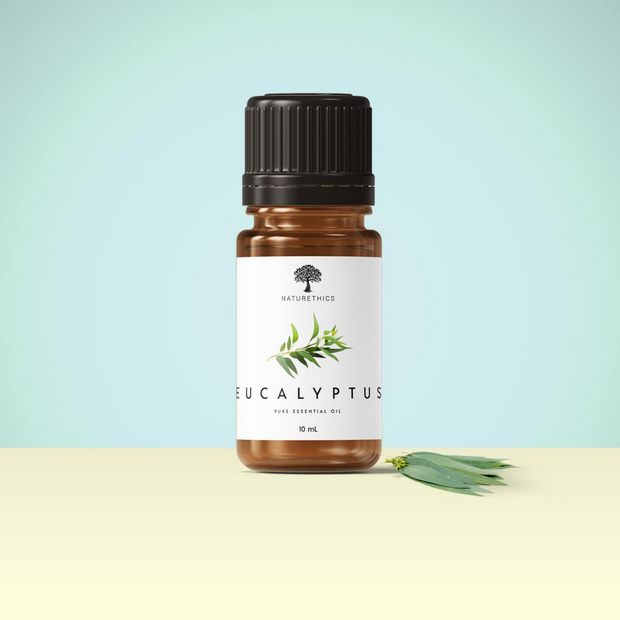 Eucalyptus Essential Oil 10ml